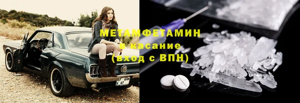 сатива Осташков