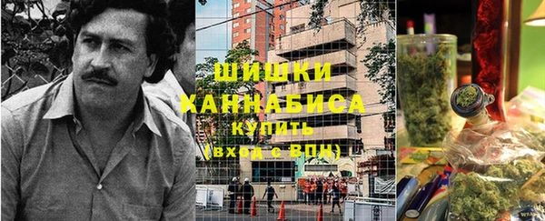 сатива Осташков