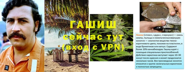 сатива Осташков