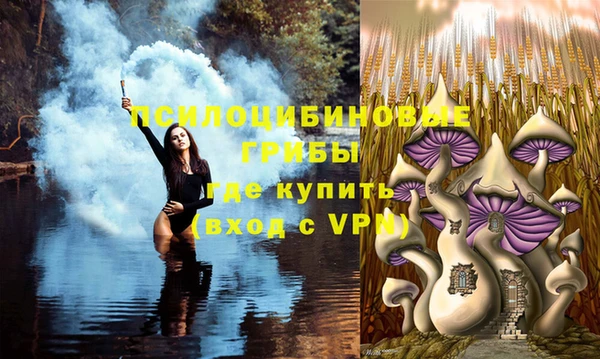 трава Нязепетровск