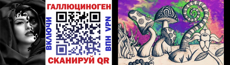 KRAKEN Ковдор Галлюциногенные грибы GOLDEN TEACHER хочу
